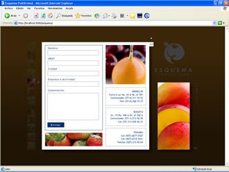 Contacto, Web Esquema Publicidad