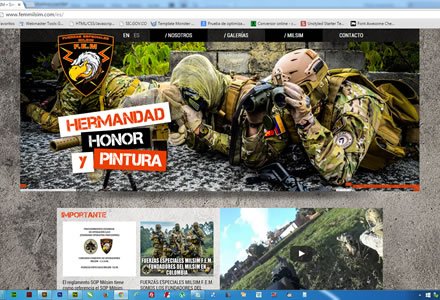 Home (1), Web JOOMLA Responsive FEM Milsim