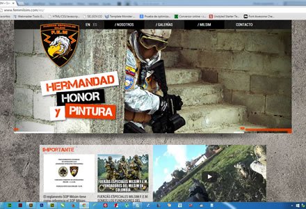 Home (3), Web JOOMLA Responsive FEM Milsim