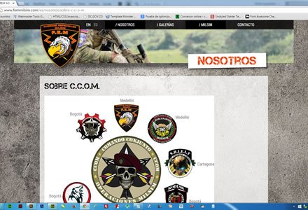 Escuadras, Web JOOMLA Responsive FEM Milsim