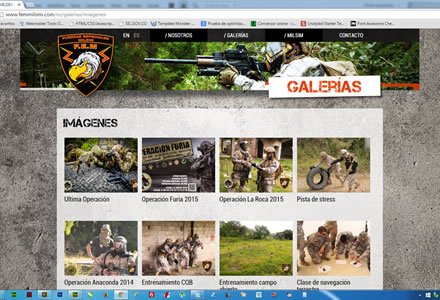 Galerías, Web JOOMLA Responsive FEM Milsim