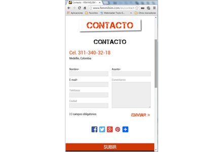 Adaptación responsive, Web JOOMLA Responsive FEM Milsim