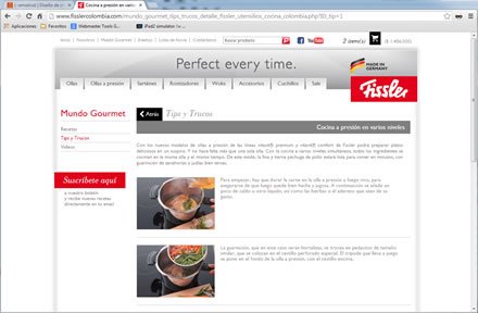 Detalle tip, e-store Responsive Fissler Colombia