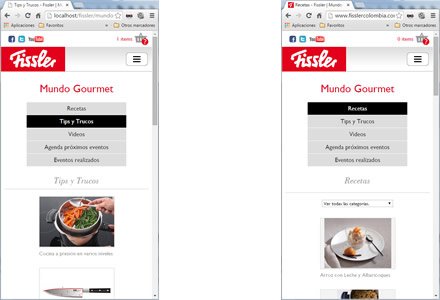 Responsive web, e-store Responsive Fissler Colombia
