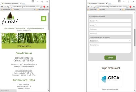 Adaptación Responsive, Sitio web responsive Forest (Lorca)