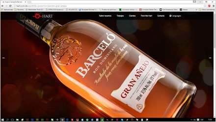 Detalle trabajo, Web Wordpress Hart Publicidad