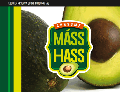 Manual de identidad, Branding campaña Corpoaguacate