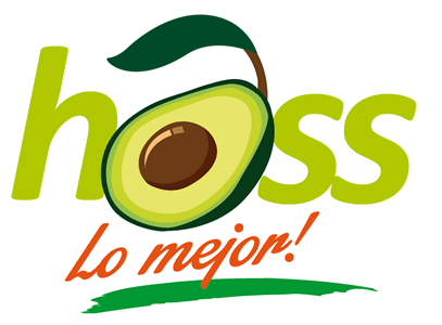 Opción Nombre/Logo, Branding campaña Corpoaguacate