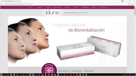 Landing page, Landing page responsive Idune