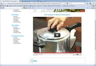 Video (detalle), Web Incametal