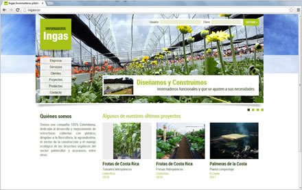 Home, Sitio web Ingas