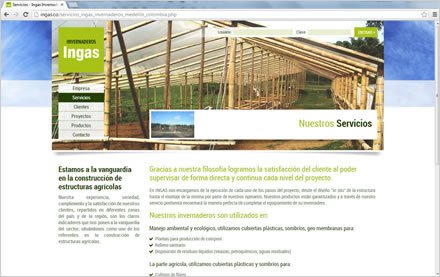 Servicios, Sitio web Ingas