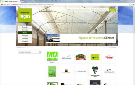 Clientes, Sitio web Ingas
