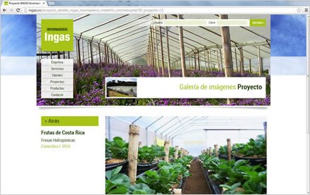 Proyectos (detalle), Sitio web Ingas