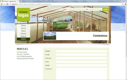Contacto, Sitio web Ingas