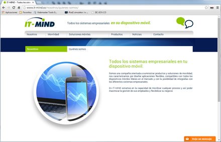 Quiénes somos, Web Responsive WP It-Mind