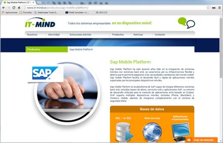 Productos (1), Web Responsive WP It-Mind