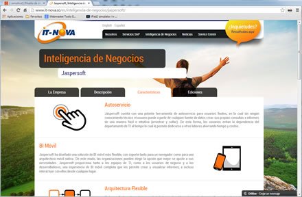 Características, Web Word Press IT-Nova