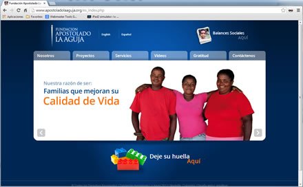 Home, Sitio web Fundación La Aguja