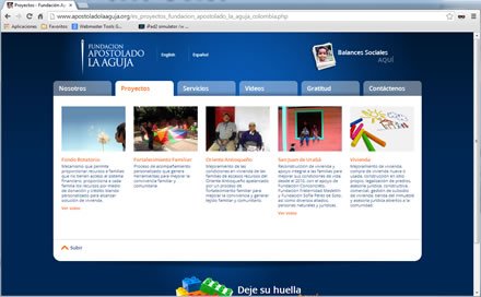 Servicios, Sitio web Fundación La Aguja