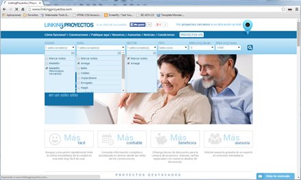 Sistema de búsqueda múltiple, Sitio responsive Linking Proyectos