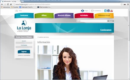 Detalle servicio, Web Joomla Responsive La Lonja