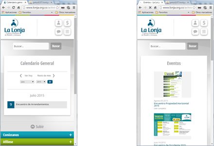 Responsive web, Web Joomla Responsive La Lonja