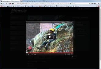 Ampliación de videos, Web Ménsula