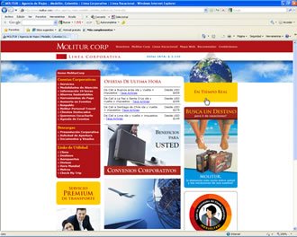 Home Linea Corporativa, Web Viajes Molitur
