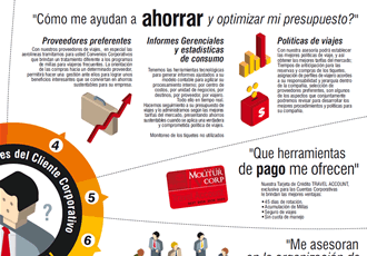 Detalle 3, Infografía Molitur