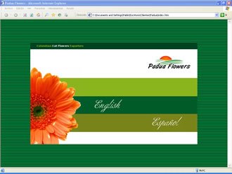 Elección de idioma., Web Padua Flowers
