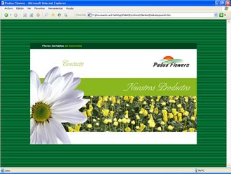 Home (estado 2), Web Padua Flowers