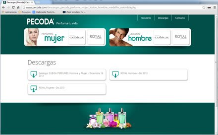 Descargas, Web administrable Pecoda