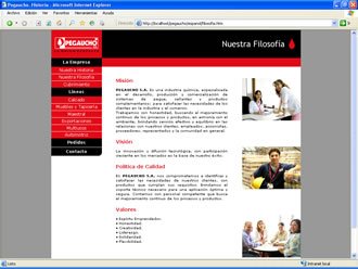 Presentación Corporativa, Web Pegaucho