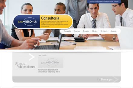 Home, Sitio web Pro-Visiona