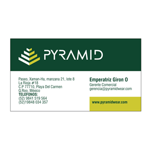 Tarjetas (1 cara), Identidad Visual Pyramid