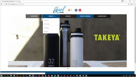 Home, Web HTML5 administrable Regal de Colombia