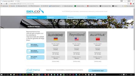 Marcas, Web responsive Selco