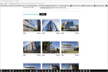 Administrador a la medida, Web responsive Selco