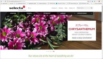 Home, Web HTML5 administrable Selecta Flowers