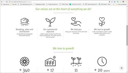 Home (scroll), Web HTML5 administrable Selecta Flowers