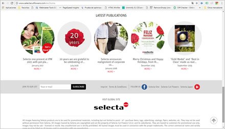 Home (scroll), Web HTML5 administrable Selecta Flowers