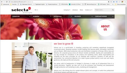 La Empresa, Web HTML5 administrable Selecta Flowers