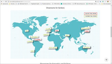 Showrooms (scroll), Web HTML5 administrable Selecta Flowers