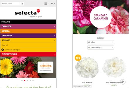 Adaptación Responsive, Web HTML5 administrable Selecta Flowers