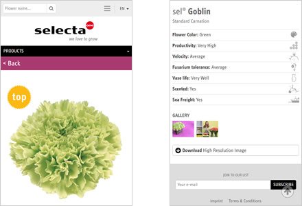 Adaptación Responsive, Web HTML5 administrable Selecta Flowers