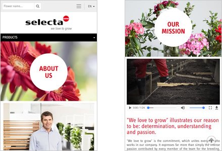 Adaptación Responsive, Web HTML5 administrable Selecta Flowers