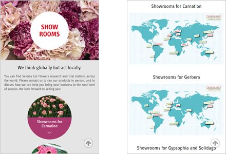 Adaptación Responsive, Web HTML5 administrable Selecta Flowers