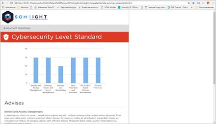 Reports PDF template, Diseño de interfaces Somsight