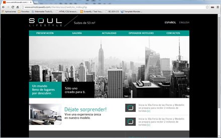 Home (3), Sitio Responsive Soul Suites